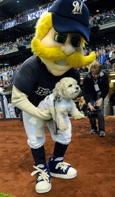 Milwaukee Brewers mascot speed competition